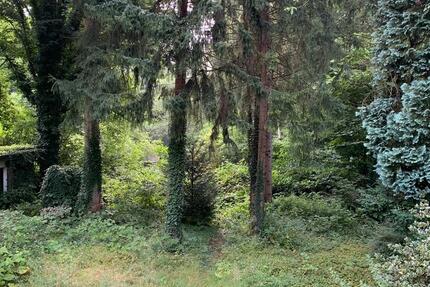 Freistehendes Haus in Bochum Langendreer zu verkaufen