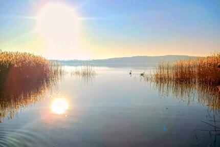 Wohnung Teterow - 3 Zimmer, 58 m&sup2;, 520&euro; | Angebot:26011235