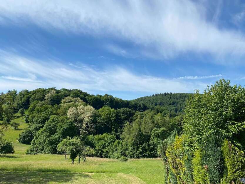 Wohnung zum Mieten in Neckargemünd 1.650 € 160 m²