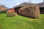 Einfamilienhaus Tarp - 429.000&euro; | Angebot:26213228