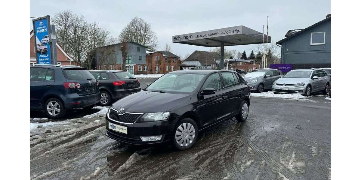 Skoda Rapid/Spaceback 99.998 km 9.999 &euro; Hemme 25774