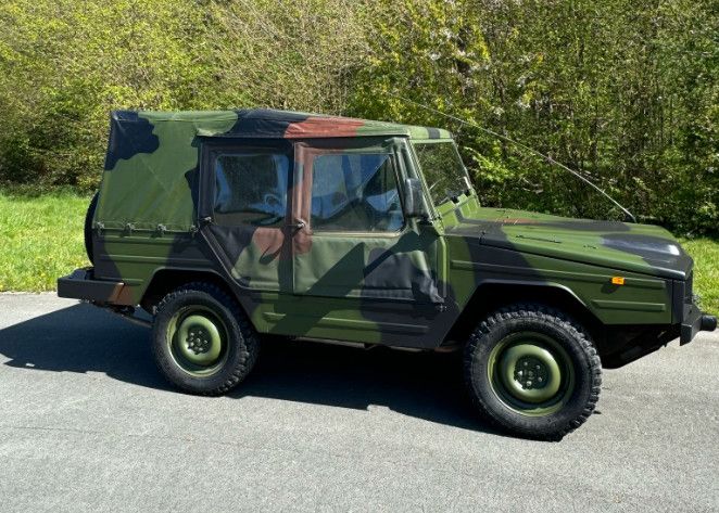 Iltis