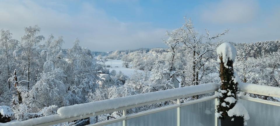 Einfamilienhaus Roth - 6 Zimmer, 180 m&sup2;, 875.000&euro; | Angebot:26273165