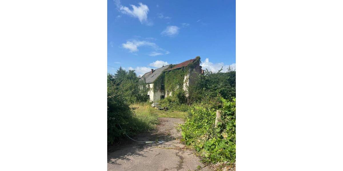 Grundstück Wadern Büschfeld - 130.000&euro; | Angebot:26243730