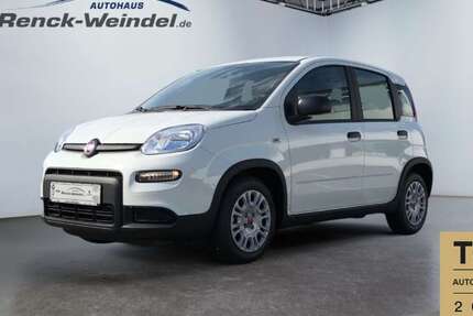 Fiat Panda 5.000 km 13.789 € Mannheim 68167