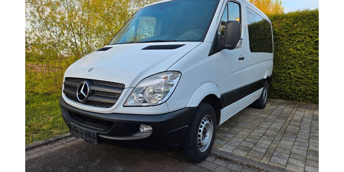 Mercedes-Benz Sprinter 225.600 km 9.500 &euro; Endingen 79346