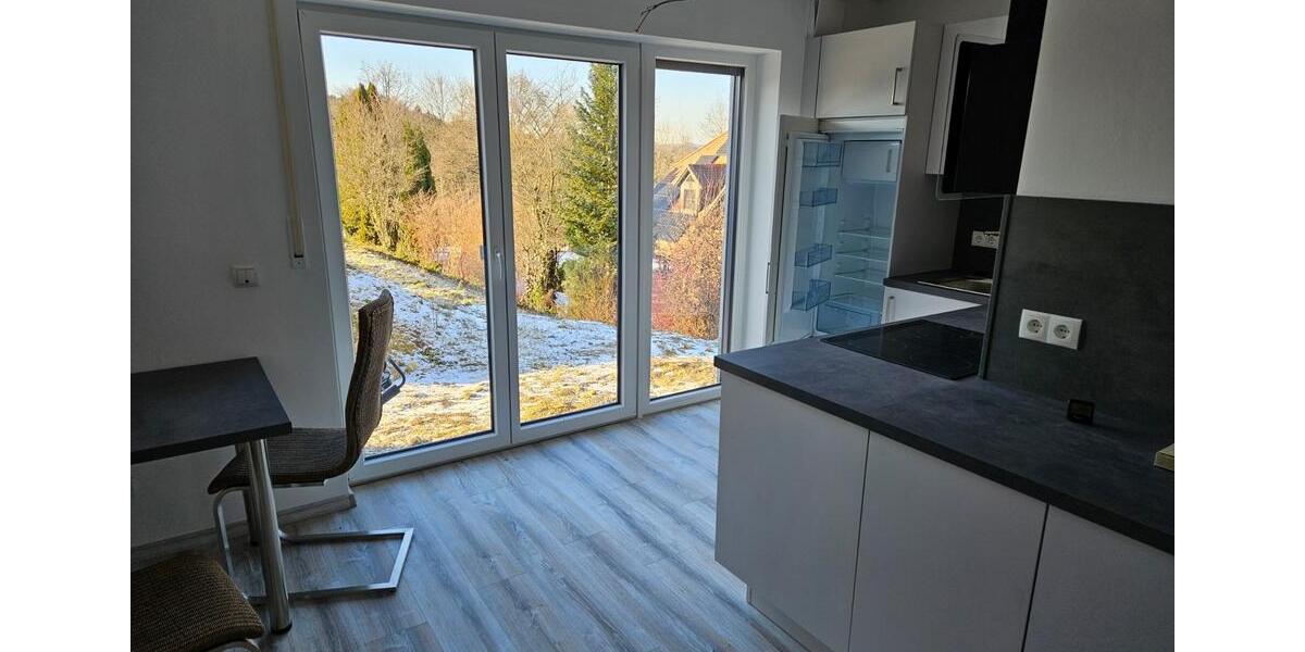 Modernes Single-Apartment teilmöbliert in Eschenbach 1 zimmer