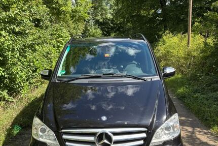 Mercedes Viano