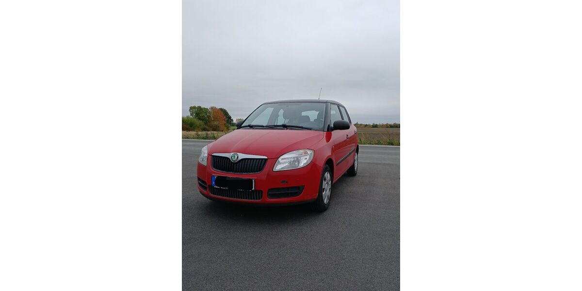 Skoda Fabia 173.000 km 1.050 € Königslutter 38154