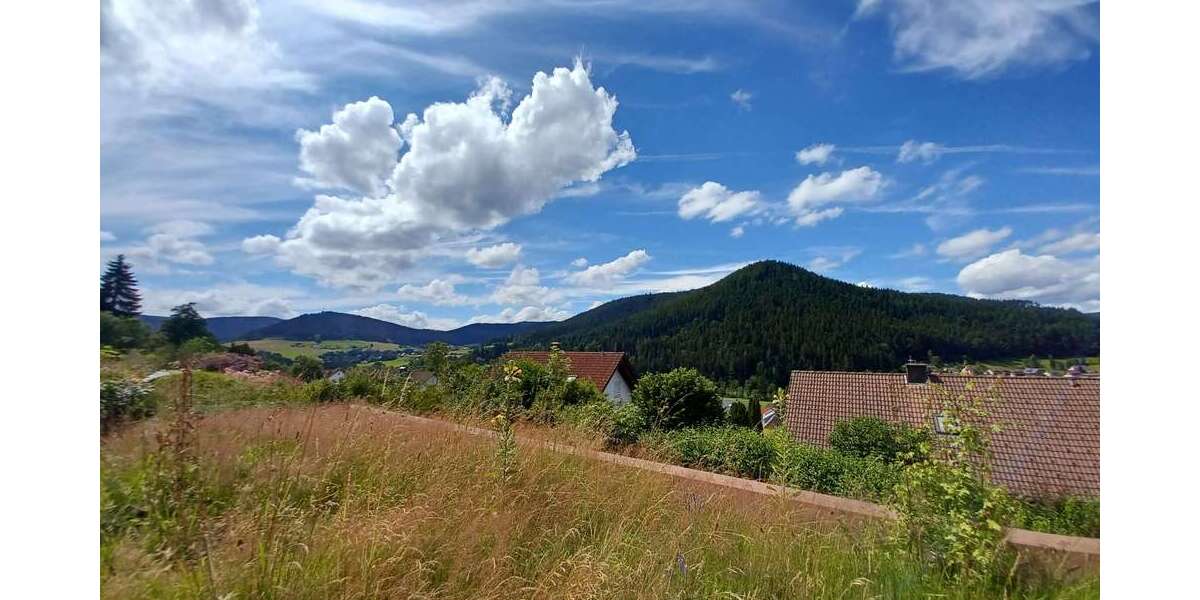 Etagenwohnung Baiersbronn - 2 Zimmer, 62 m&sup2;, 89.000&euro; | Angebot:25836831