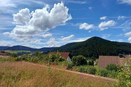 Wohnung Baiersbronn - 2 Zimmer, 62 m&sup2;, 89.000&euro; | Angebot:25836831