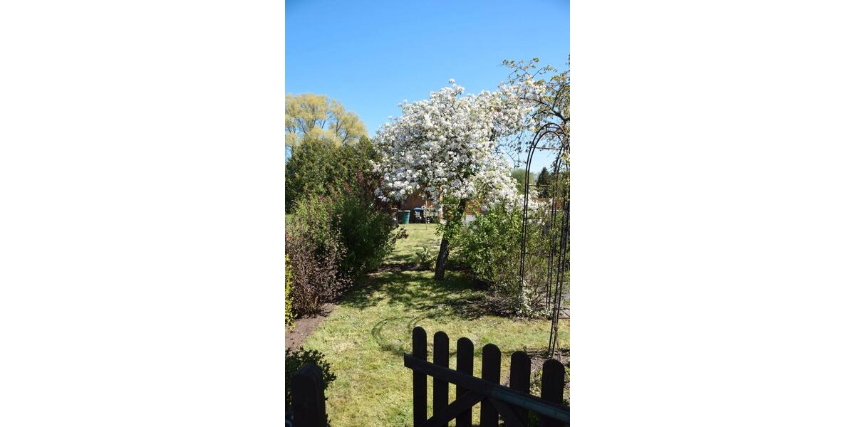 Doppelhaushälfte Winsen (Aller) - 2 Zimmer, 64 m&sup2;, 159.900&euro; | Angebot:27117785