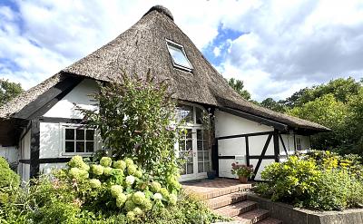 LICHTDURCHFLUTET & OFFENE BAUWEISE UNTER REET - Einfamilienhaus Lübeck Sankt Gertrud | Angebot:27332100