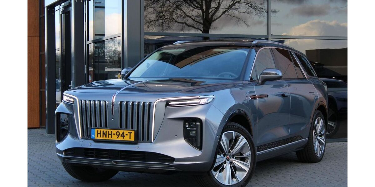 Hongqi E-HS9 17.450 km 52.499 &euro; Emmen 