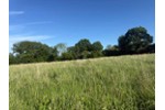 SONNIG, RUHIG & NATURNAH MIT AUSBLICK - Grundstück Riepsdorf | Angebot:27233869