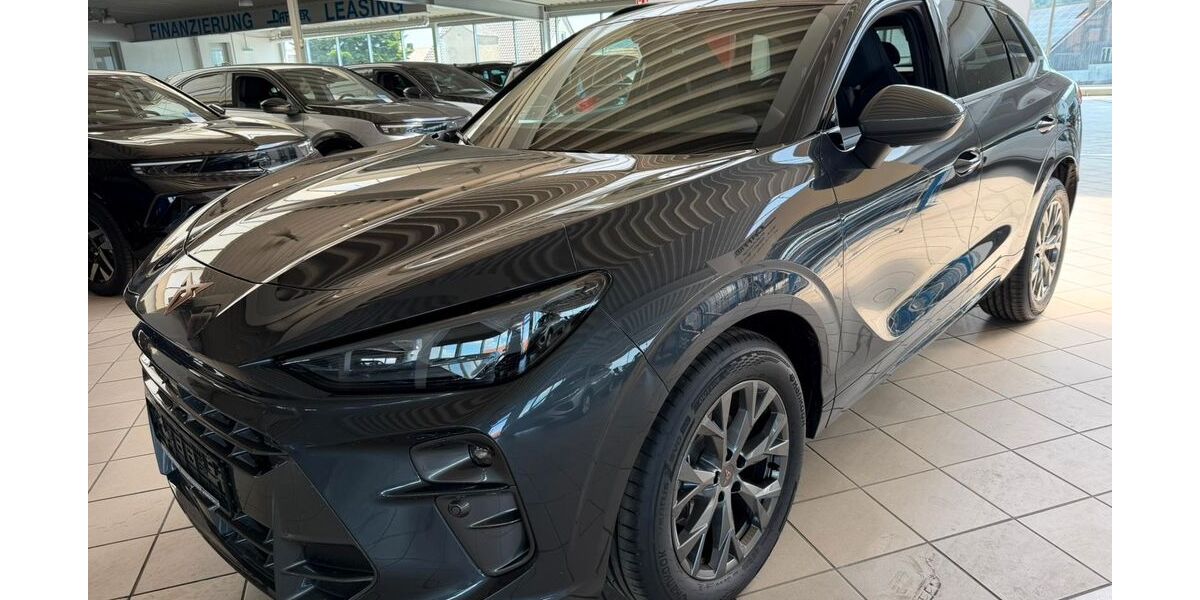 Cupra Terramar 2.850 km 35.990 &euro; Batzhausen 92358