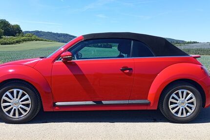 VW Beetle 63.000 km 14.500 &euro; Stockach (Baden) 78333
