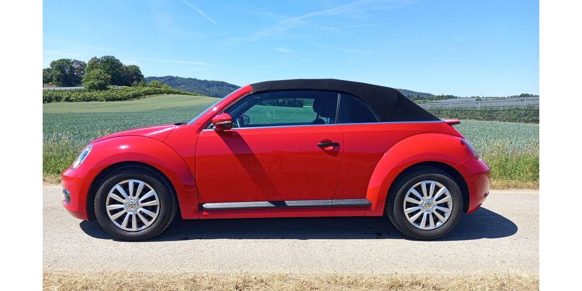 VW Beetle 63.000 km 16.500 &euro; Stockach (Baden) 78333