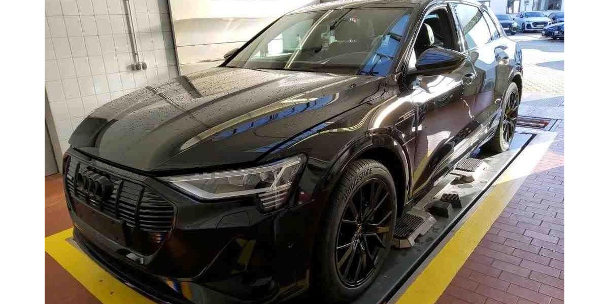Audi e-tron 47.987 km 38.990 &euro; Hamburg 22047