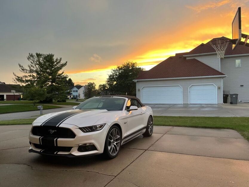 Mustang