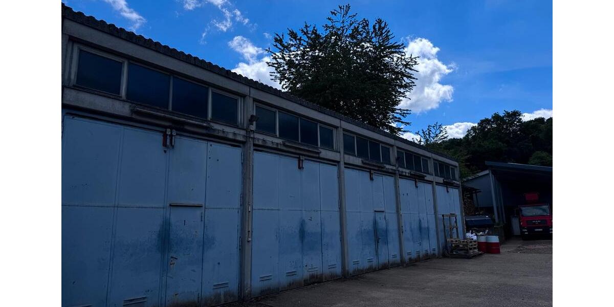 Einfamilienhaus Zweibrücken - 5 Zimmer, 300 m&sup2;, 790.000&euro; | Angebot:27129153