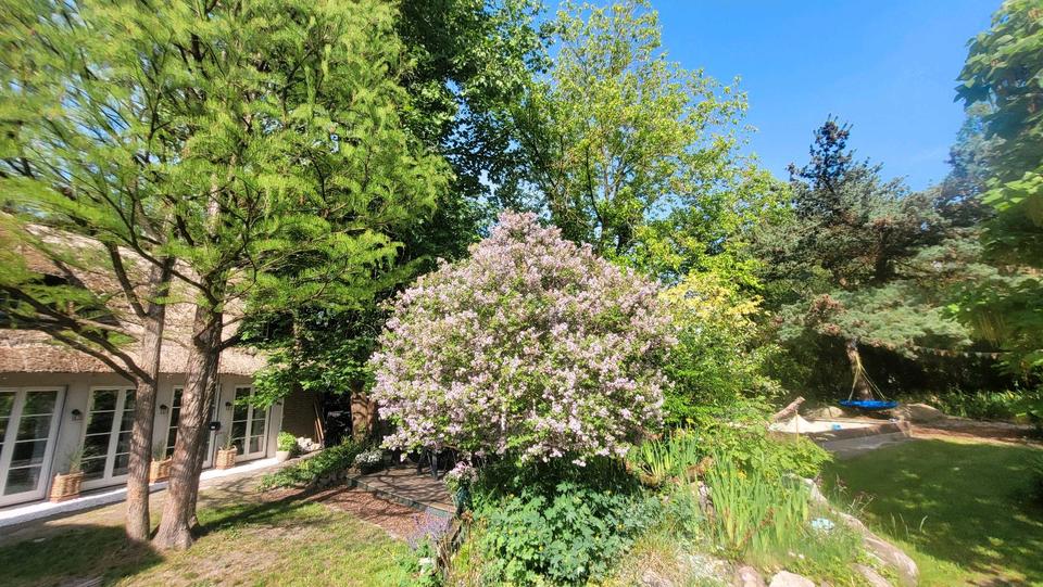 Einfamilienhaus Schwanewede - 10 Zimmer, 186 m&sup2;, 550.000&euro; | Angebot:26800179