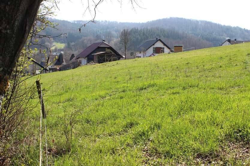 Grundstück zu verkaufen in Angelburg-Gönnern 54.250 € 1233 m²