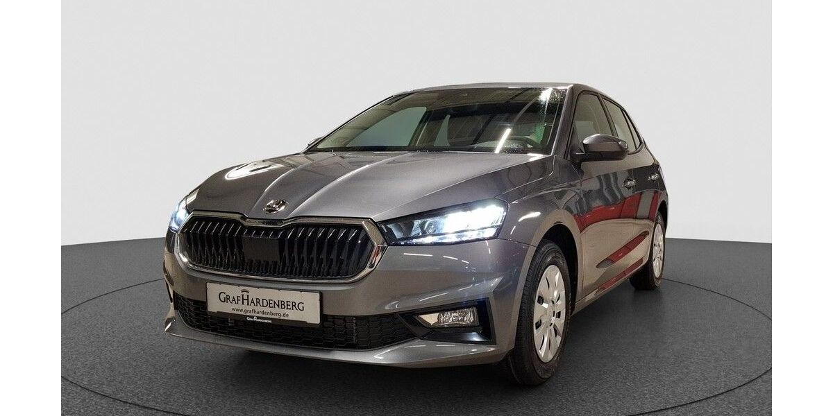 Skoda Fabia 1.100 km 21.290 &euro; Karlsruhe 76131