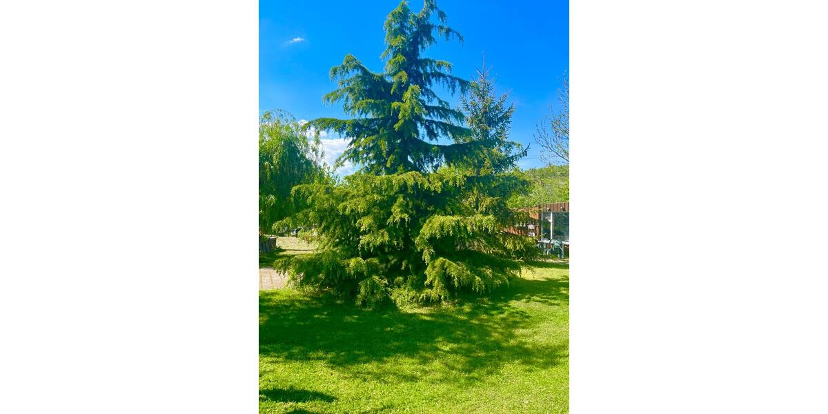 Einfamilienhaus Potsdam - 8 Zimmer, 222 m&sup2;, 795.000&euro; | Angebot:27043124