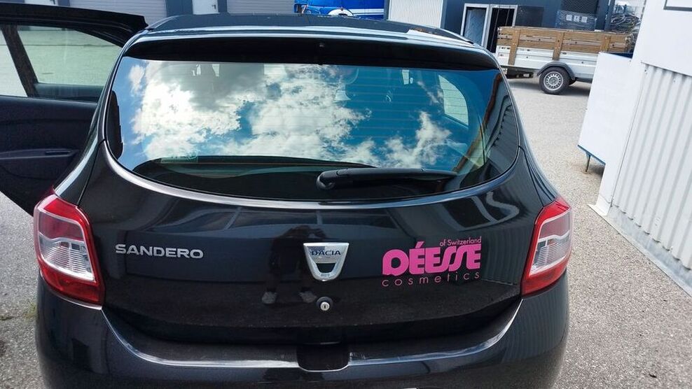 Sandero