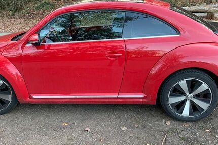 VW Beetle