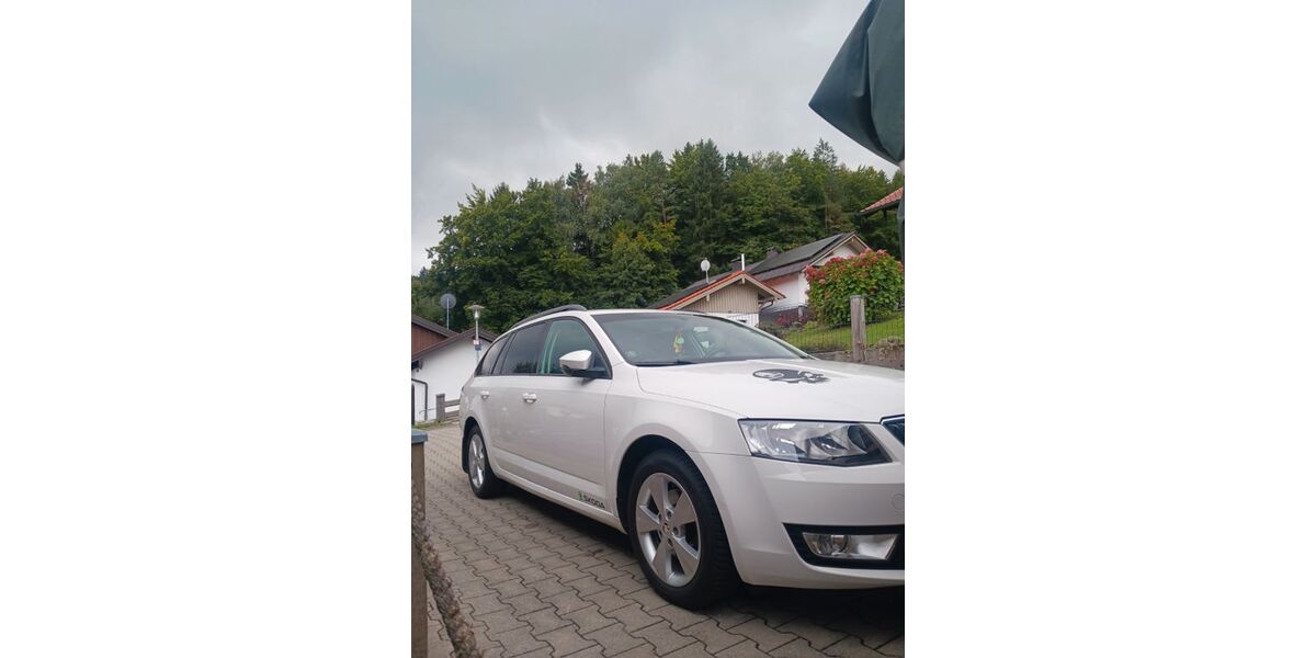 Skoda Octavia 159.000 km 10.200 &euro; Anger 83454