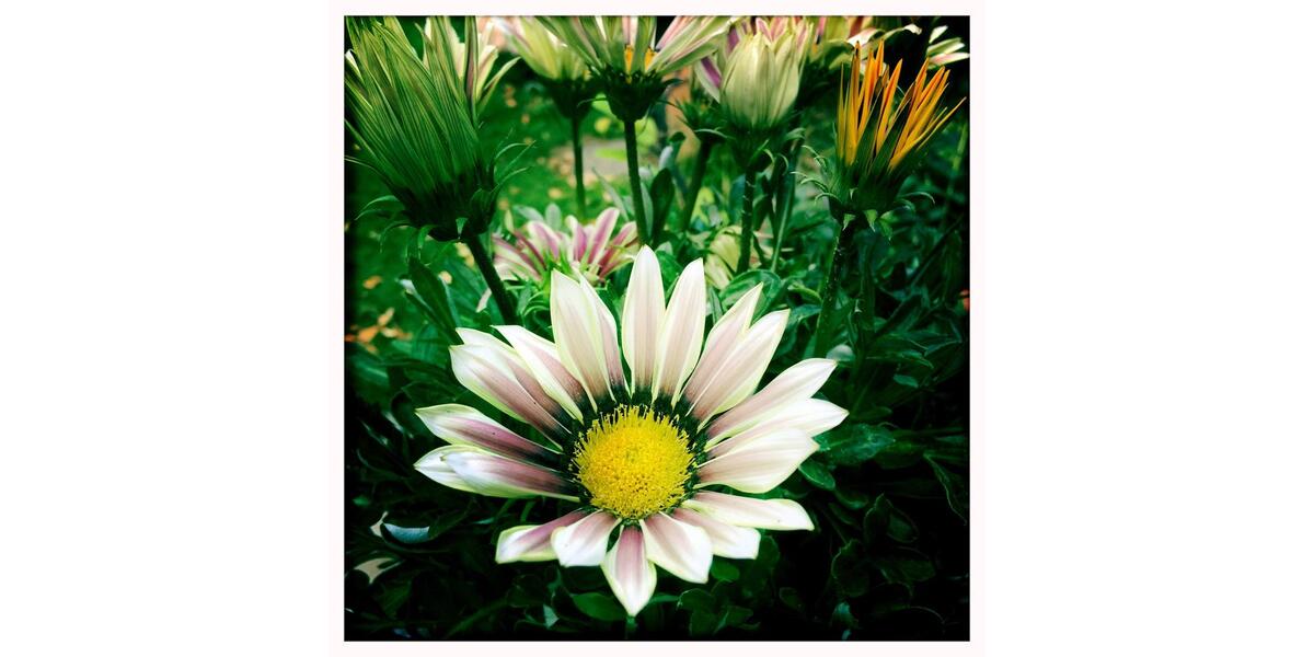 Einfamilienhaus Dülmen - 4 Zimmer, 140 m&sup2;, 357.000&euro; | Angebot:25649423