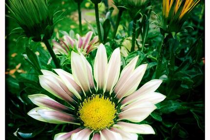 Haus Dülmen - 4 Zimmer, 140 m&sup2;, 357.000&euro; | Angebot:25649423