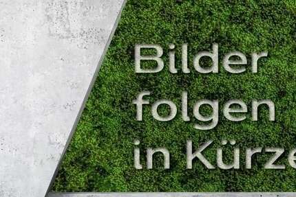 Mercedes-Benz Citan 1.350 km 28.900 &euro; Dettingen 73265