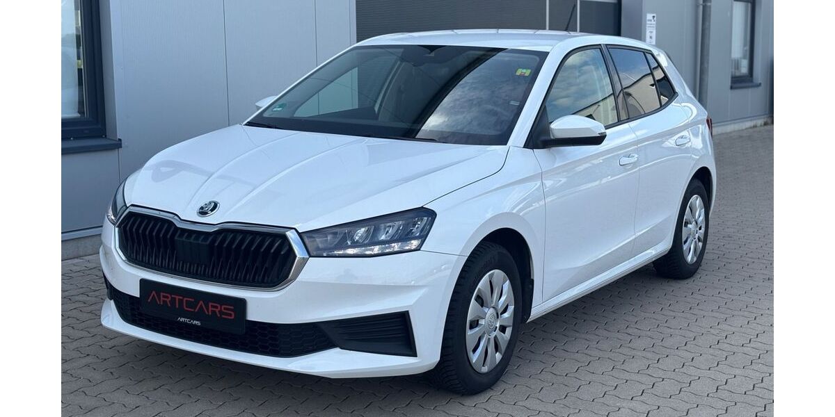 Skoda Fabia 60.996 km 14.900 &euro; Warstein 59581