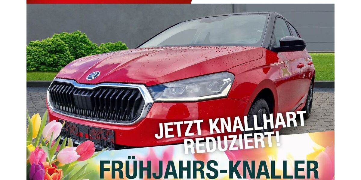 Skoda Fabia 42.518 km 18.770 &euro; Marktredwitz 95615