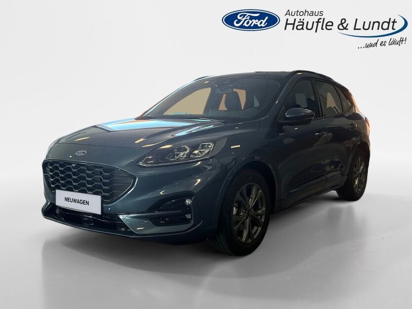 Ford Kuga 15.000 km 37.980 € Heide 25746