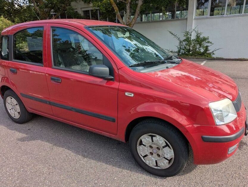 Panda