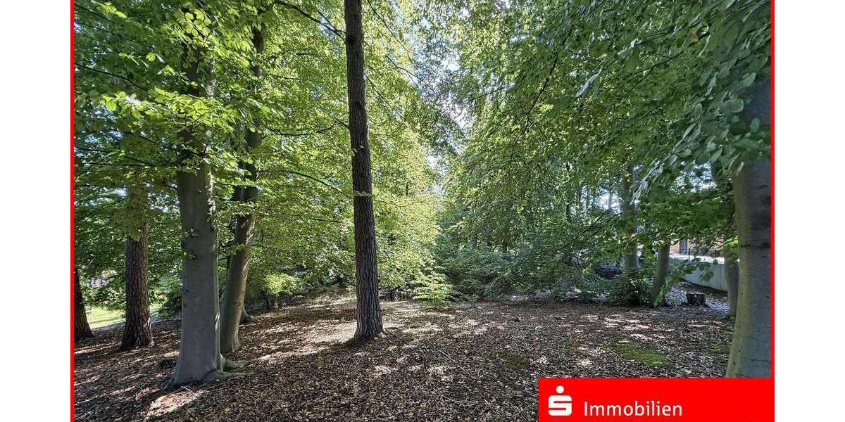 Grundstück Buchholz - 260.000&euro; | Angebot:26463330