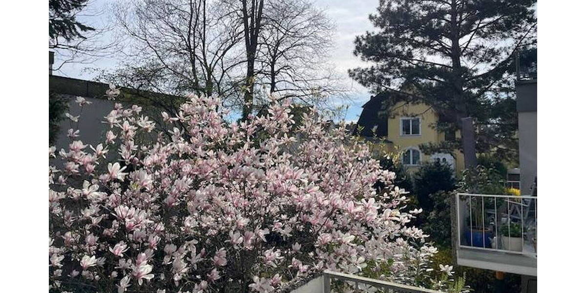 Etagenwohnung Hannover Kirchrode - 2 Zimmer, 61 m&sup2;, 259.900&euro; | Angebot:26150694