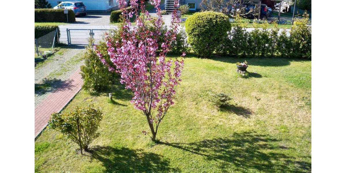 Einfamilienhaus Kühlungsborn - 4 Zimmer, 120 m&sup2;, 499.000&euro; | Angebot:27243117