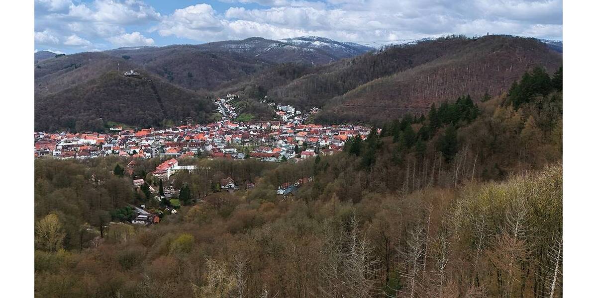 Grundstück Bad Lauterberg im Harz - 6.000&euro; | Angebot:26246309