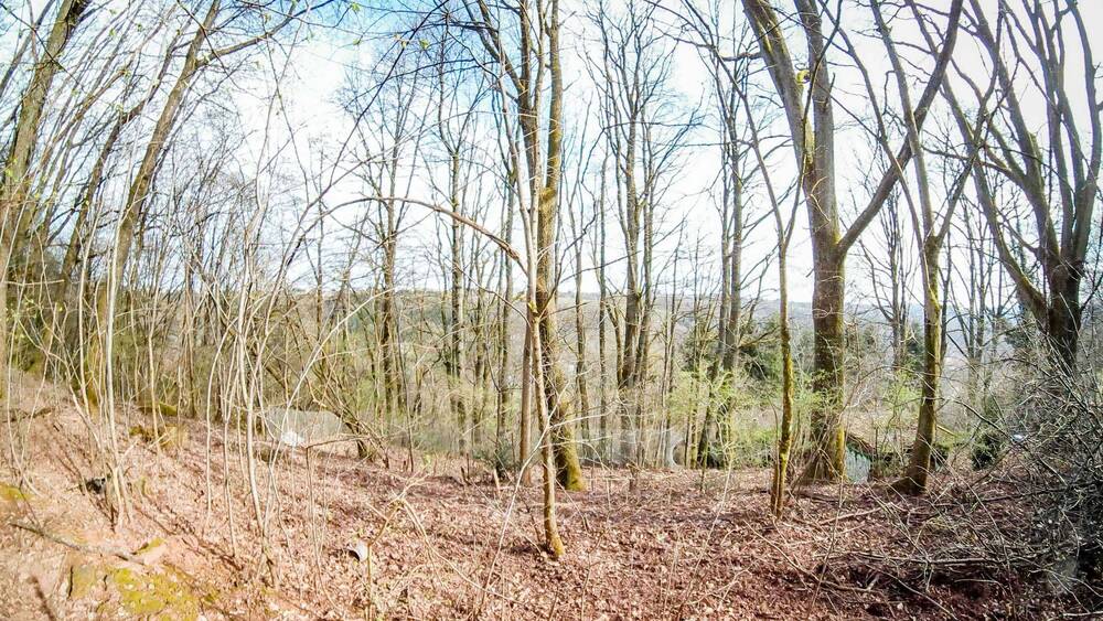 Grundstück Pirmasens Innenstadt - 69.500&euro; | Angebot:19305035