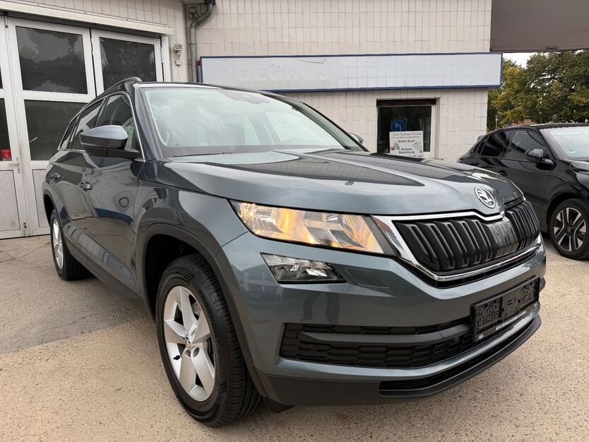 Skoda Kodiaq 130.000 km 16.999 € Worms 67549