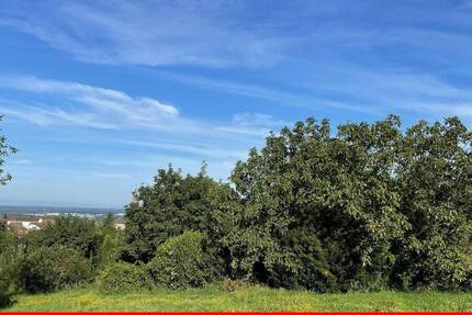 Grundstück Lauf - 168.000&euro; | Angebot:24042718