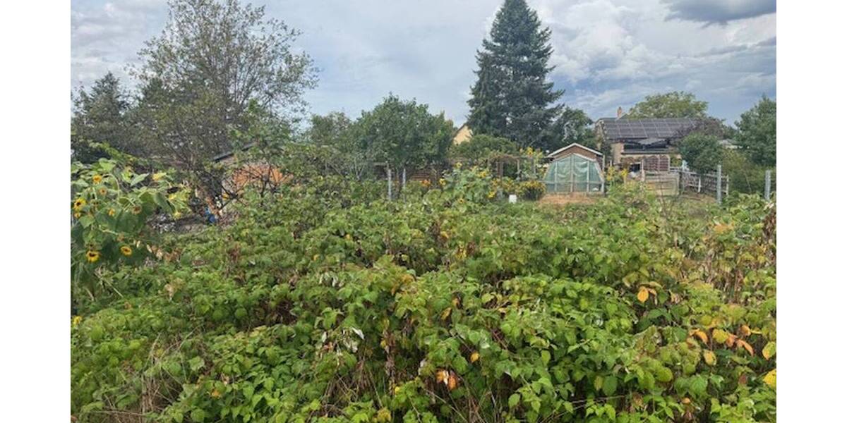 Kleines Baugrundstück in begehrter Wohnlage oberhalb von Radebeul-West zimmer