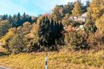 Einfamilienhaus Rudolstadt - 10.000&euro; | Angebot:26961793
