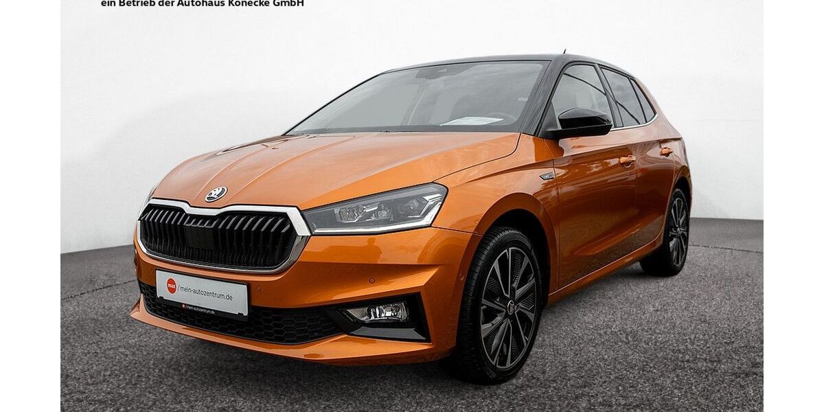 Skoda Fabia 41.531 km 19.820 &euro; Wittingen 29378