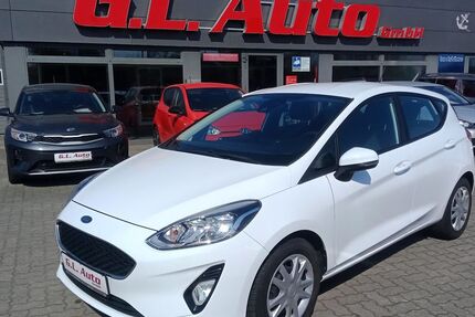 Ford Fiesta 96.668 km 8.990 &euro; Perleberg 19348